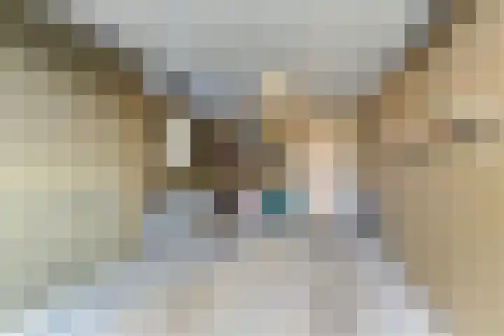 Dorpsstraat 66 Haule thumbnail 25