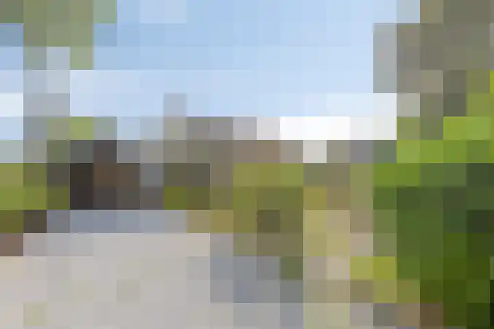Dorpsstraat 66 Haule thumbnail 30