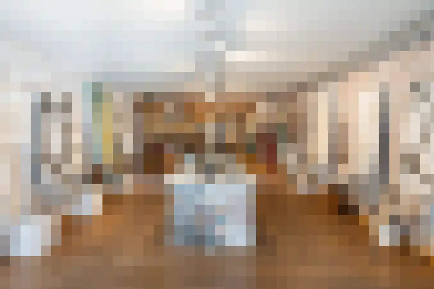 Dorpsstraat 66 Zoetermeer thumbnail 10