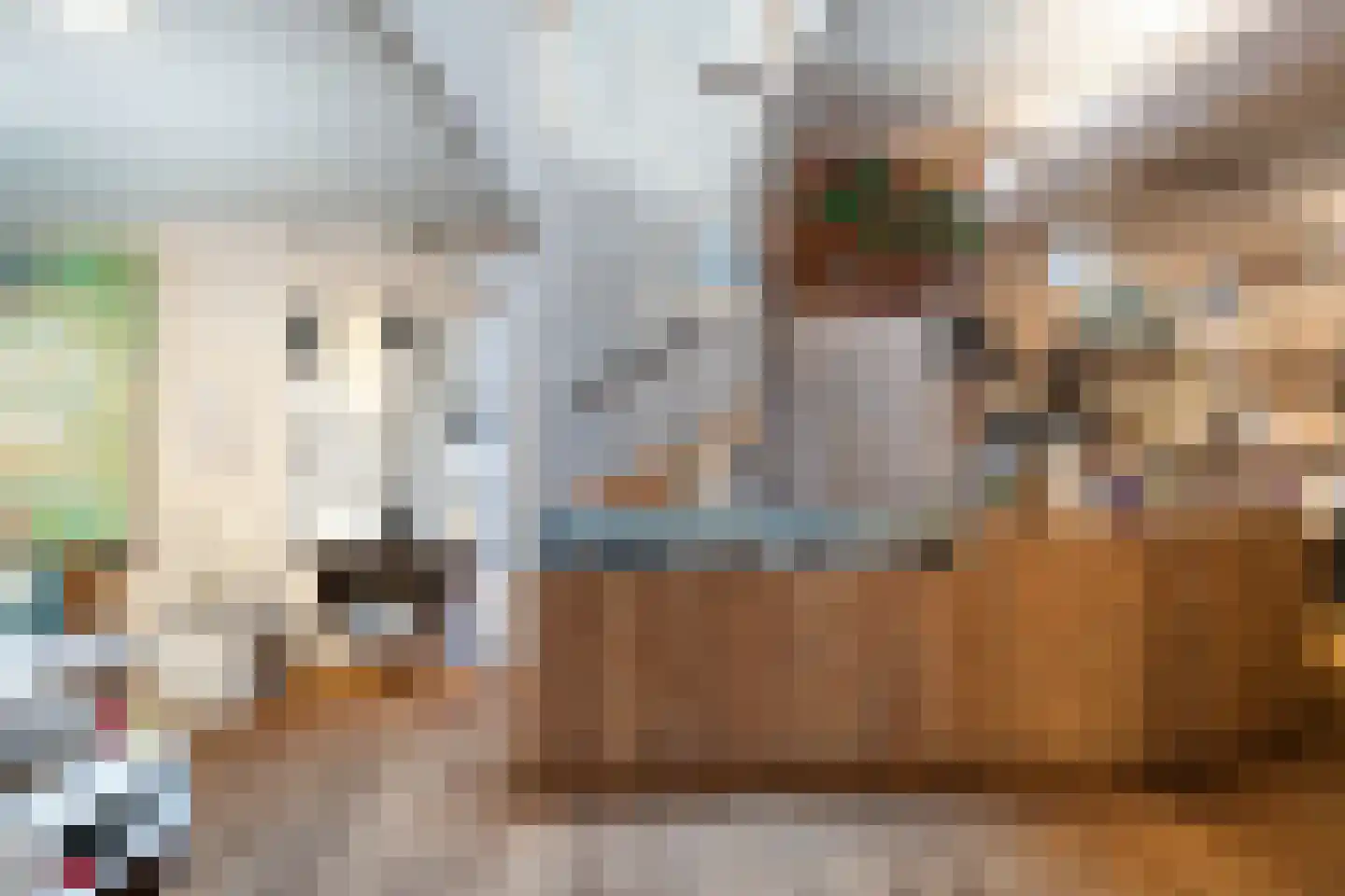 Dorpsstraat 66 Zoetermeer thumbnail 12