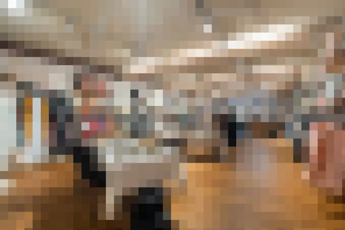 Dorpsstraat 66 Zoetermeer thumbnail 17