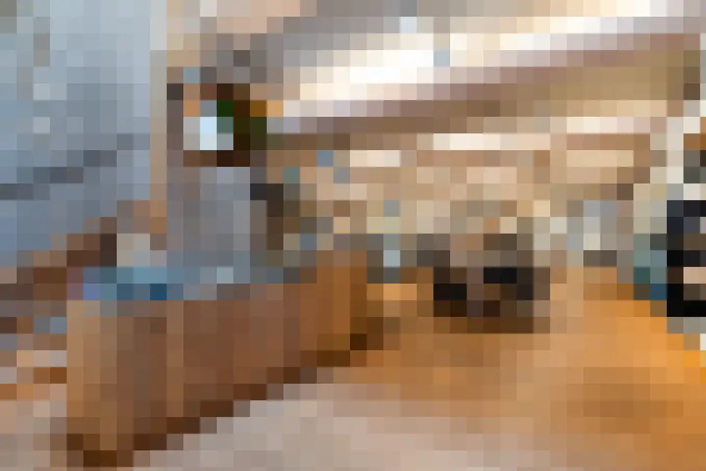 Dorpsstraat 66 Zoetermeer thumbnail 19