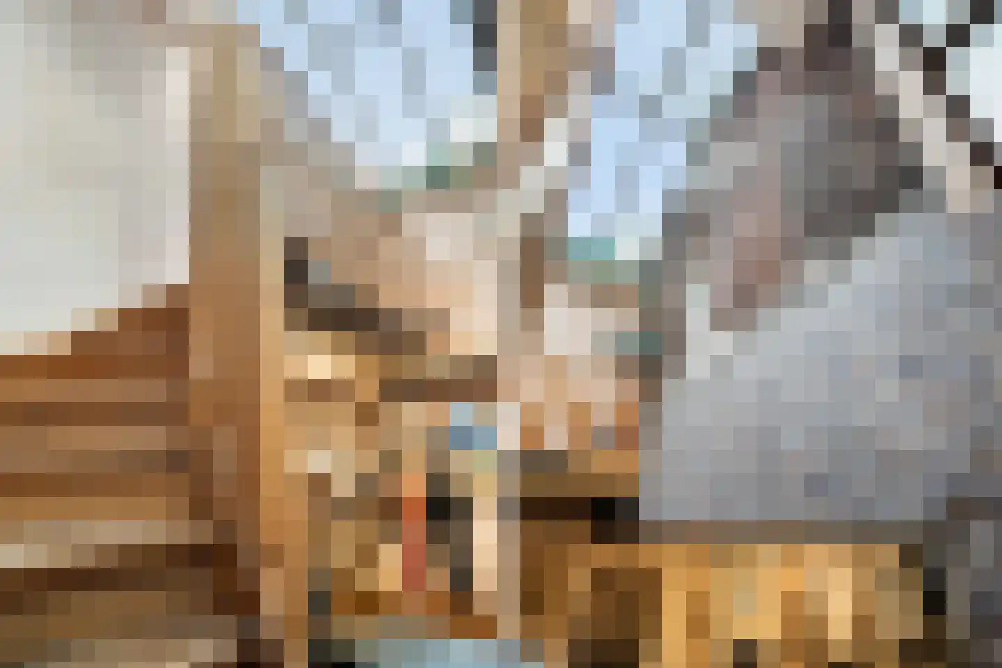 Dorpsstraat 66 Zoetermeer thumbnail 20