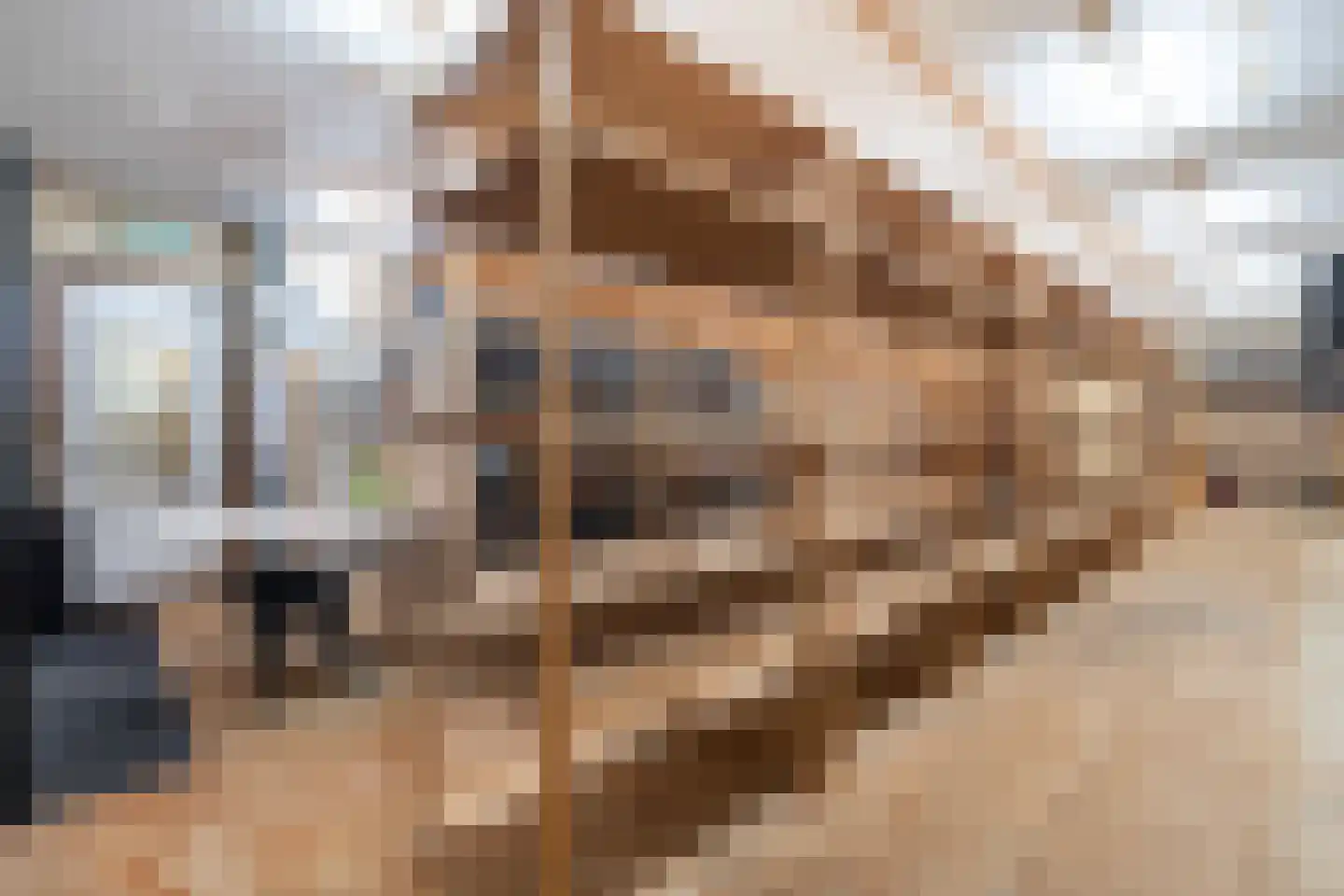 Dorpsstraat 66 Zoetermeer thumbnail 24