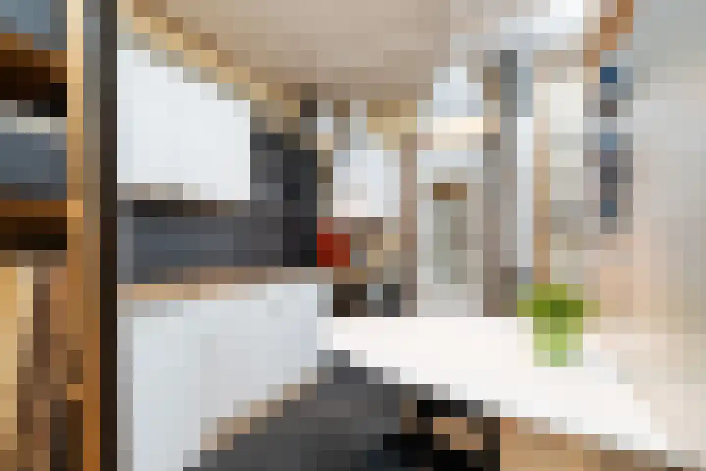 Dorpsstraat 66 Zoetermeer thumbnail 25