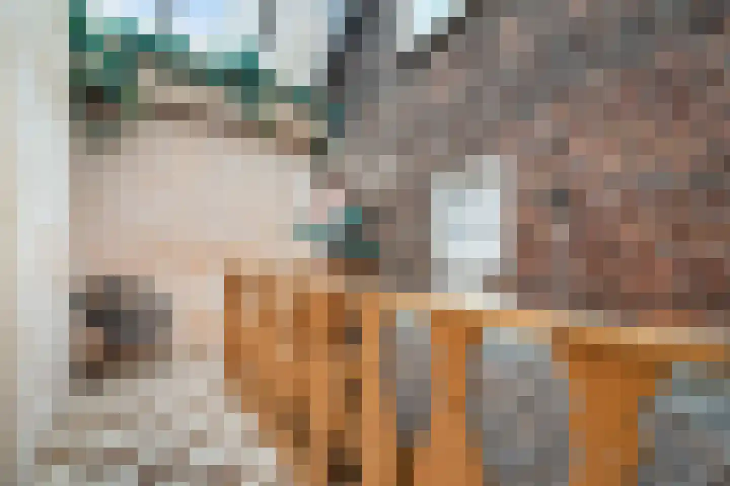 Dorpsstraat 66 Zoetermeer thumbnail 28