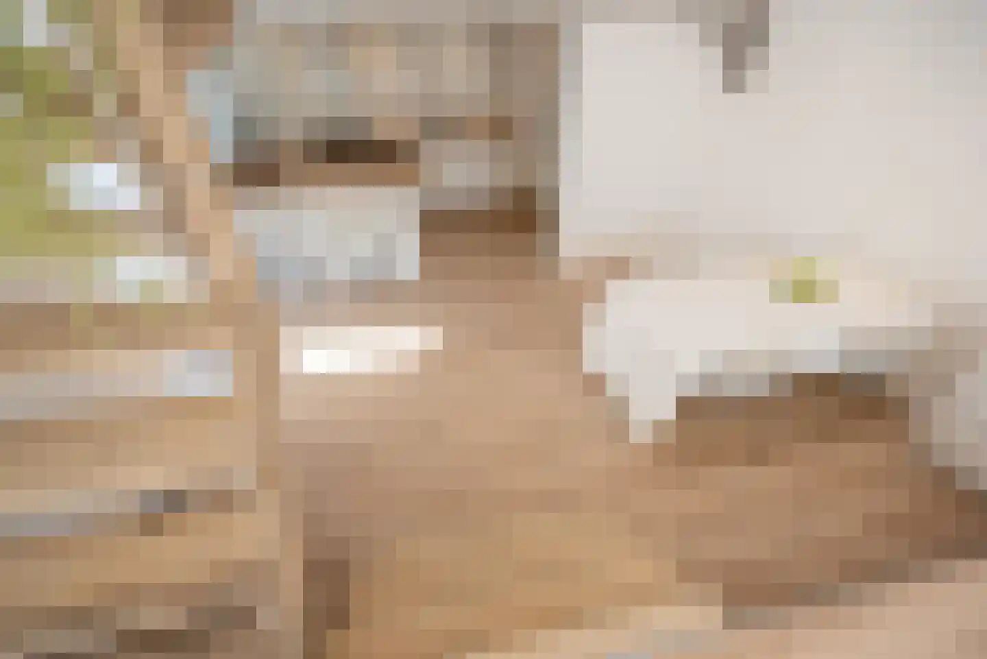 Dorpsstraat 66 Zoetermeer thumbnail 43