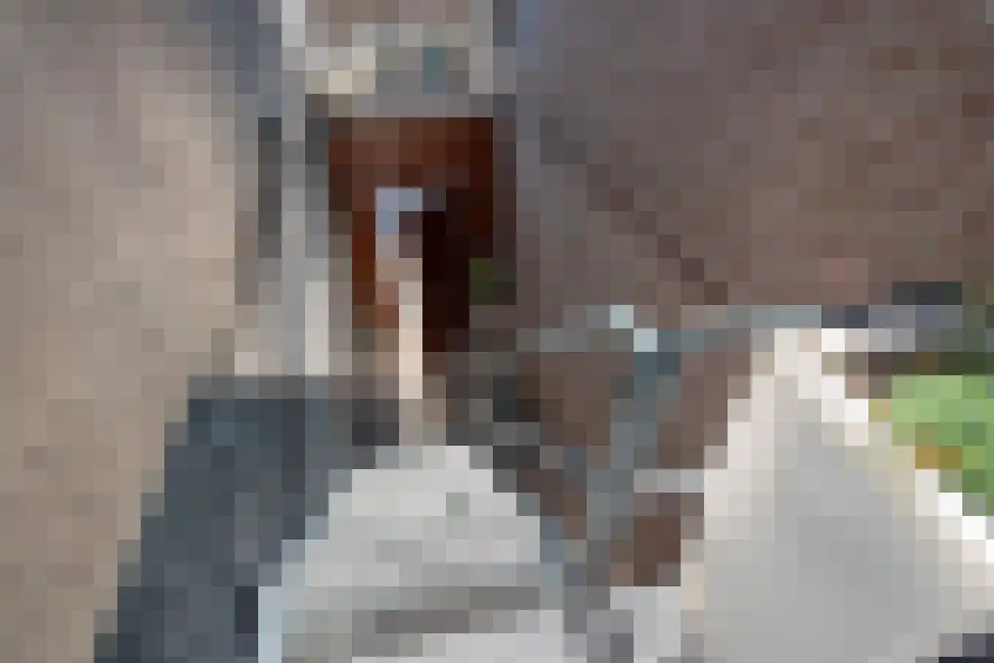 Dorpsstraat 66 Zoetermeer thumbnail 59