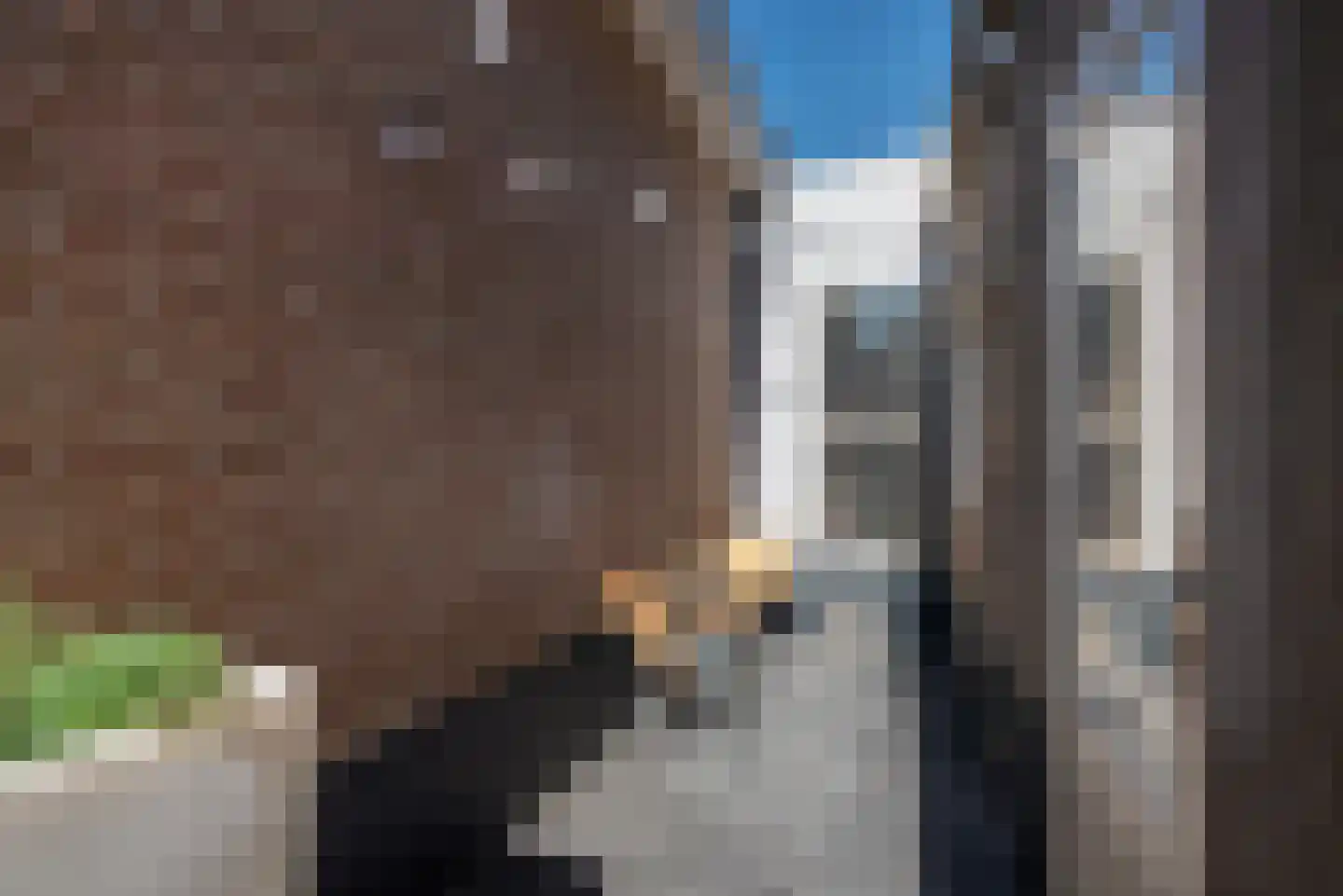 Dorpsstraat 66 Zoetermeer thumbnail 6