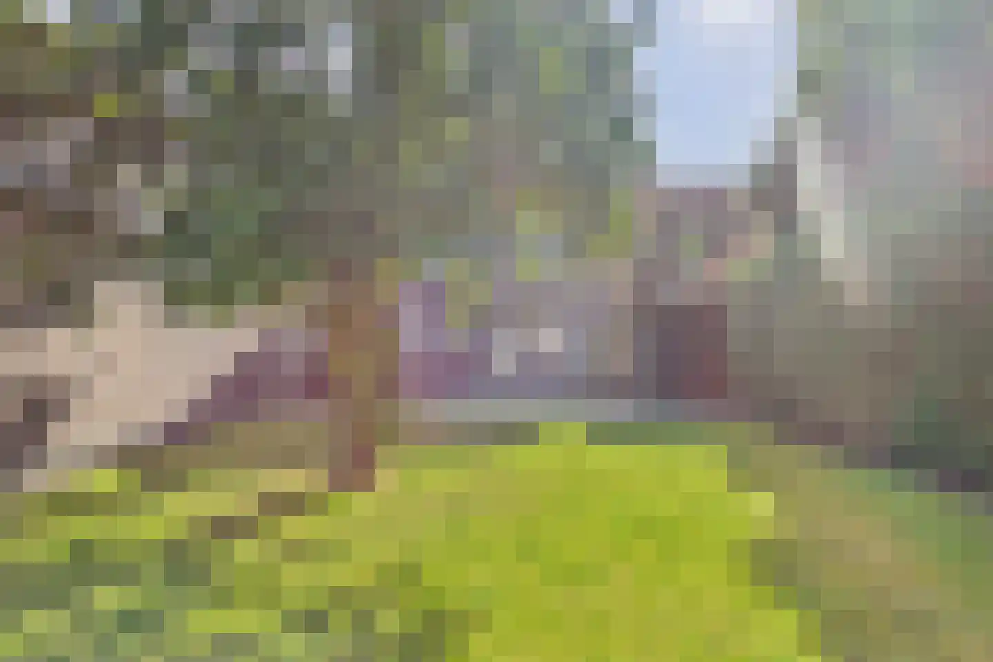 Dorpsstraat 67 Graauw thumbnail 30
