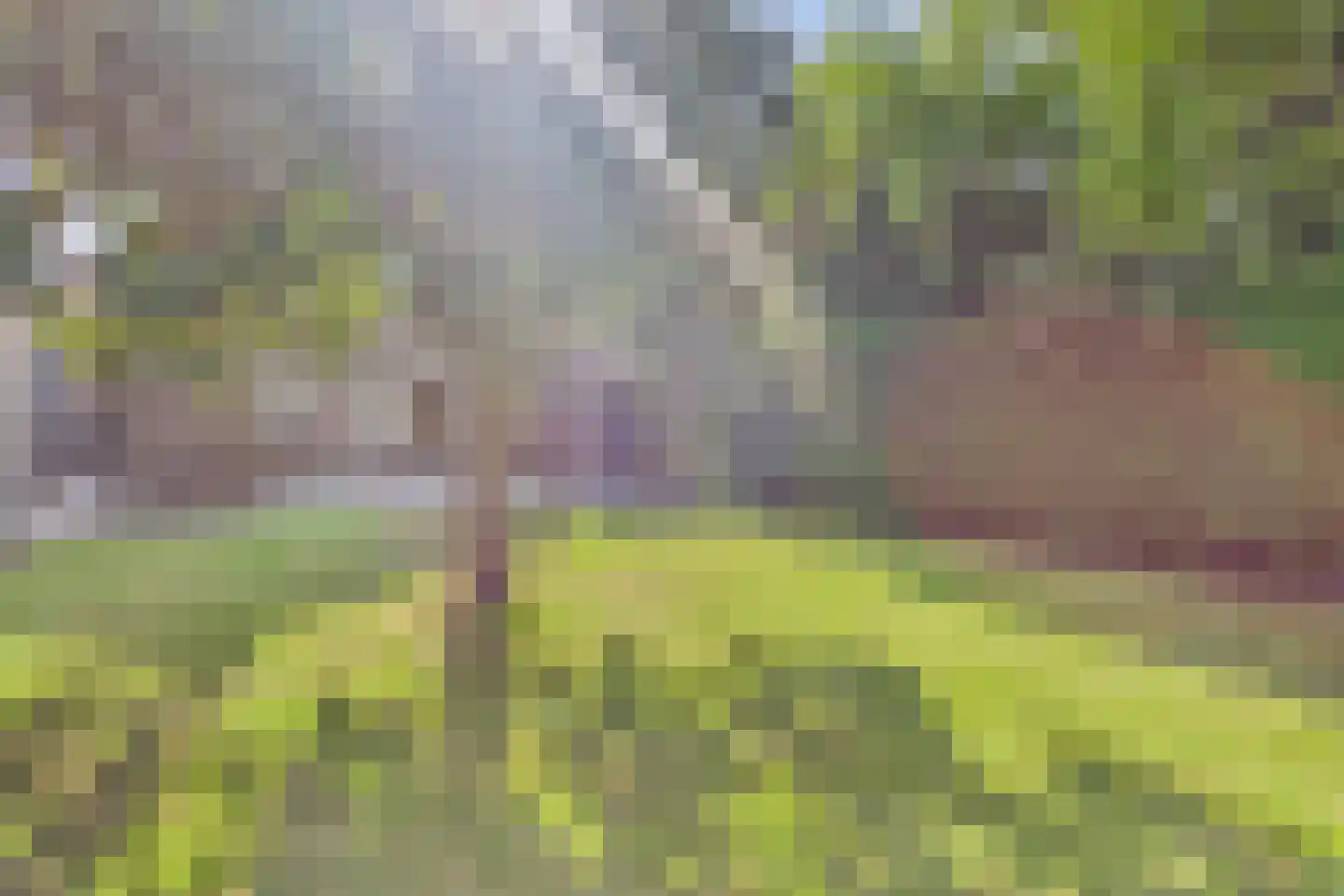 Dorpsstraat 67 Graauw thumbnail 31