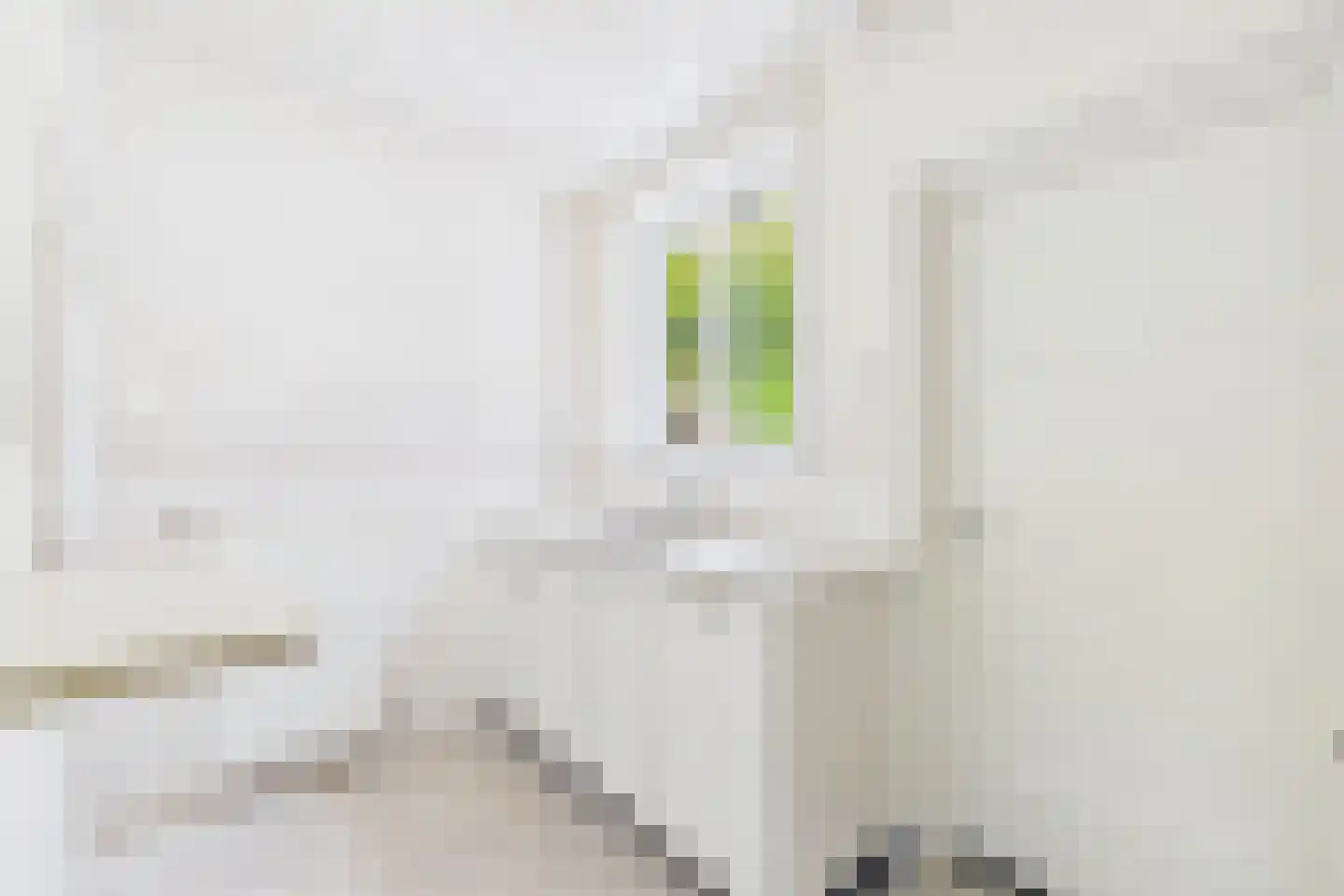 Dorpsstraat 67 Graauw thumbnail 4