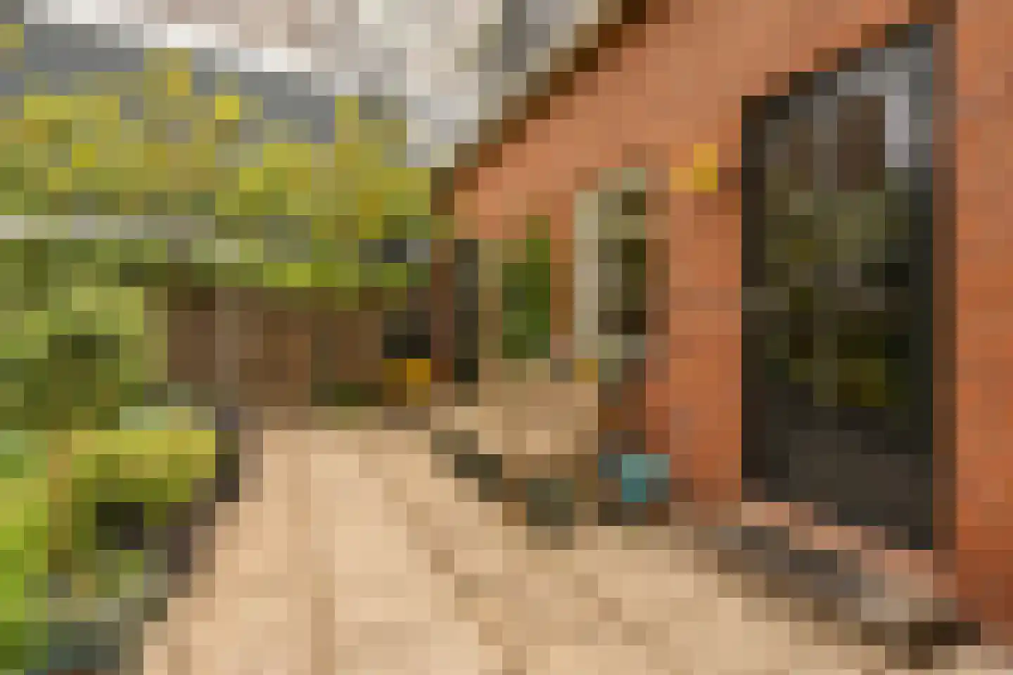 Dorpsstraat 67 Landsmeer thumbnail 28