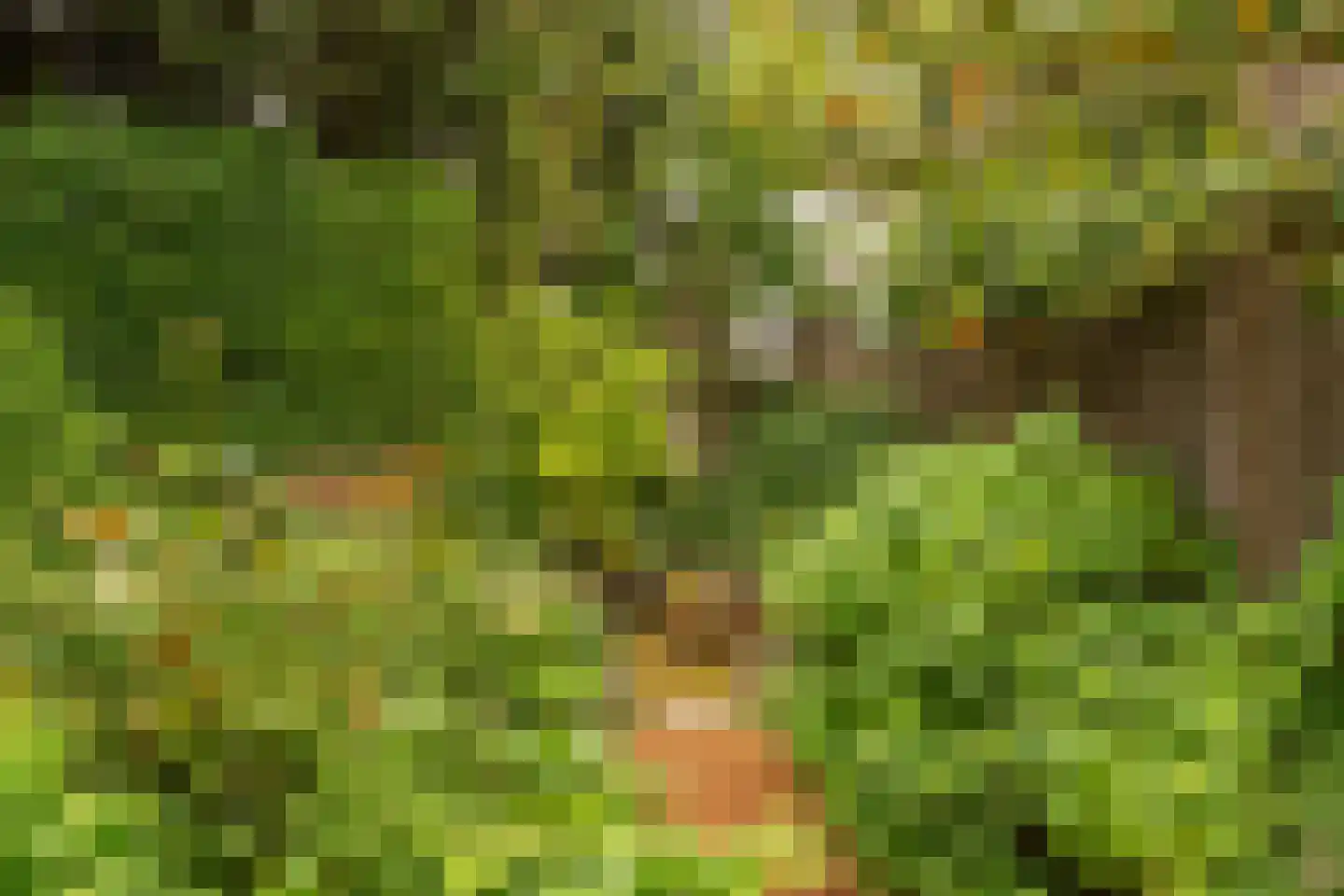 Dorpsstraat 67 Landsmeer thumbnail 30