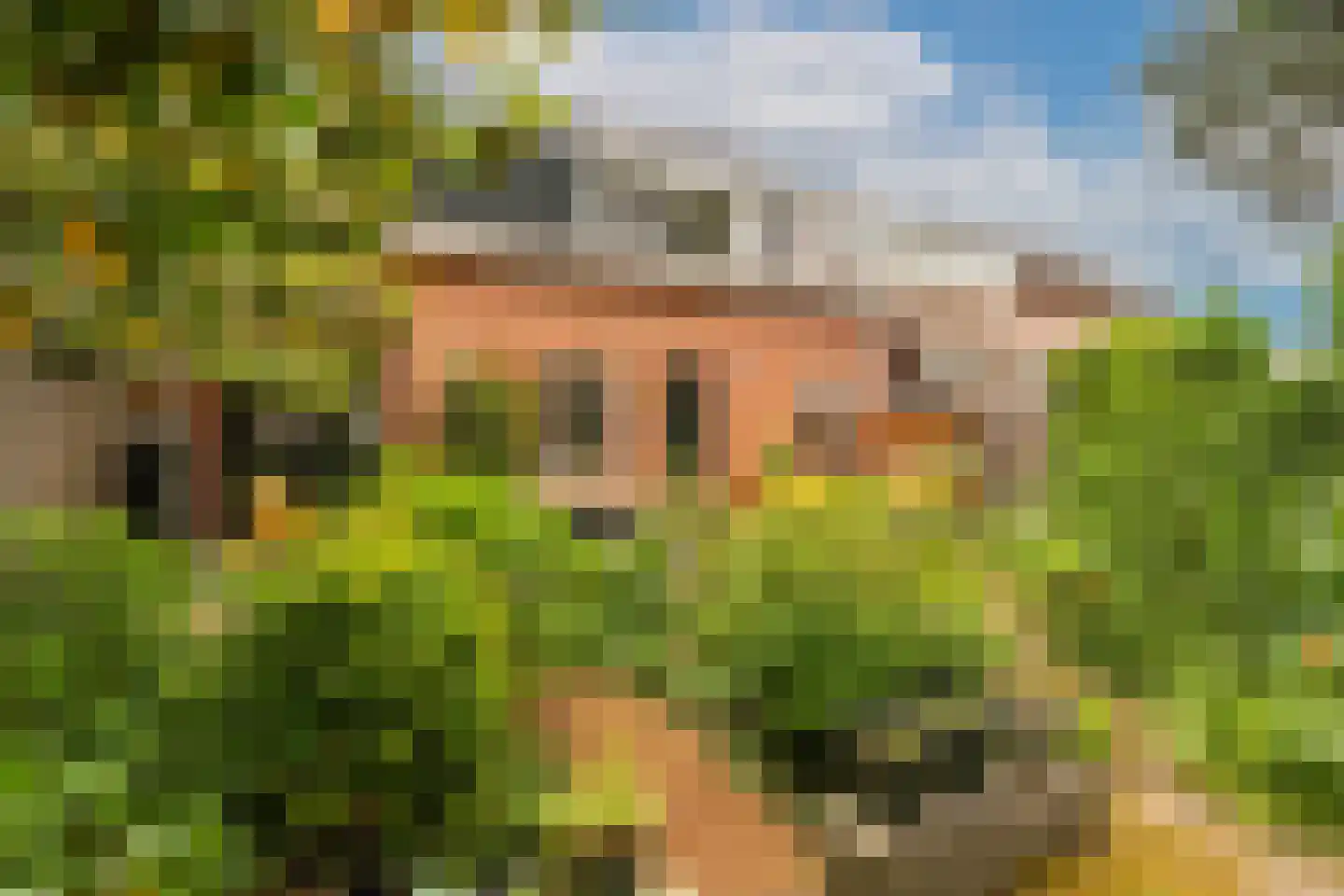Dorpsstraat 67 Landsmeer thumbnail 31