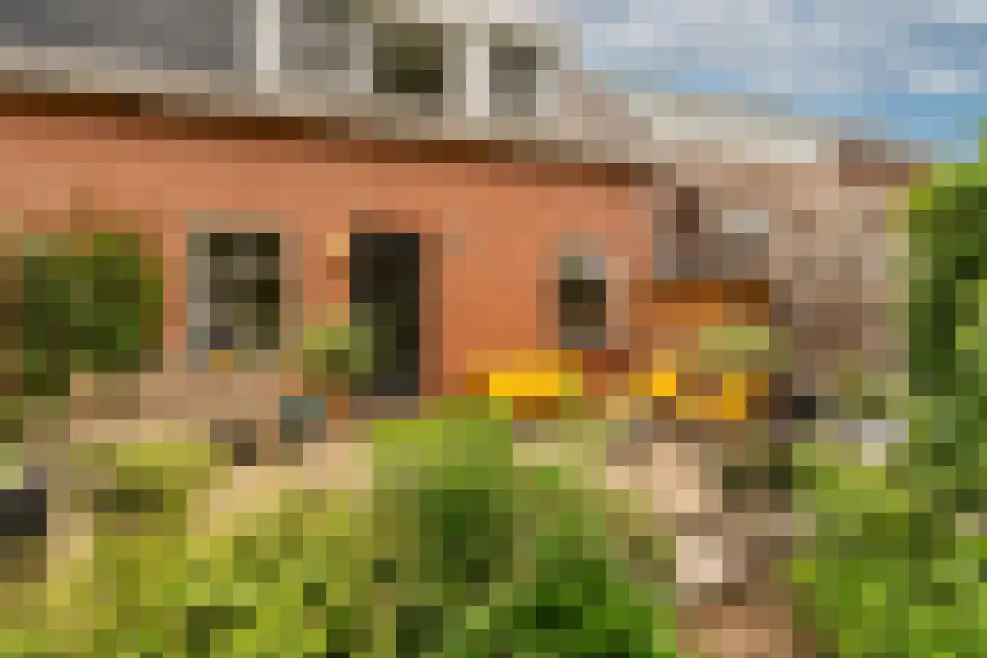 Dorpsstraat 67 Landsmeer thumbnail 32