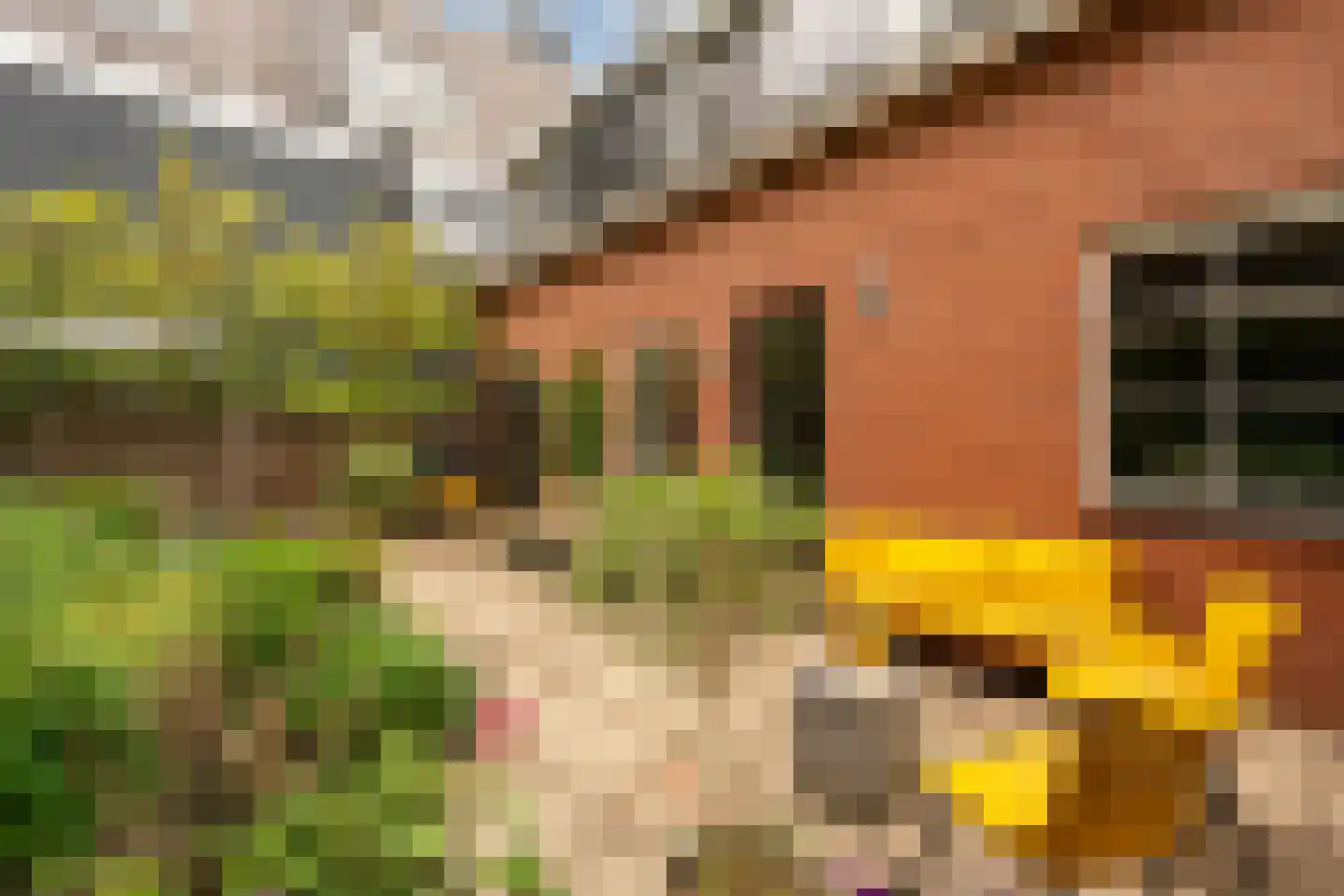 Dorpsstraat 67 Landsmeer thumbnail 33