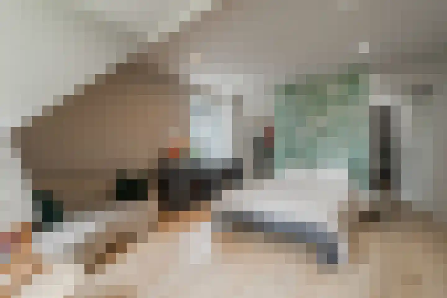 Dorpsstraat 67 Landsmeer thumbnail 43