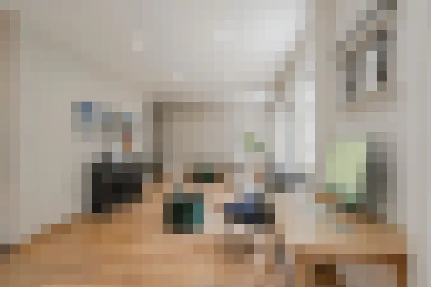 Dorpsstraat 67 Landsmeer thumbnail 7