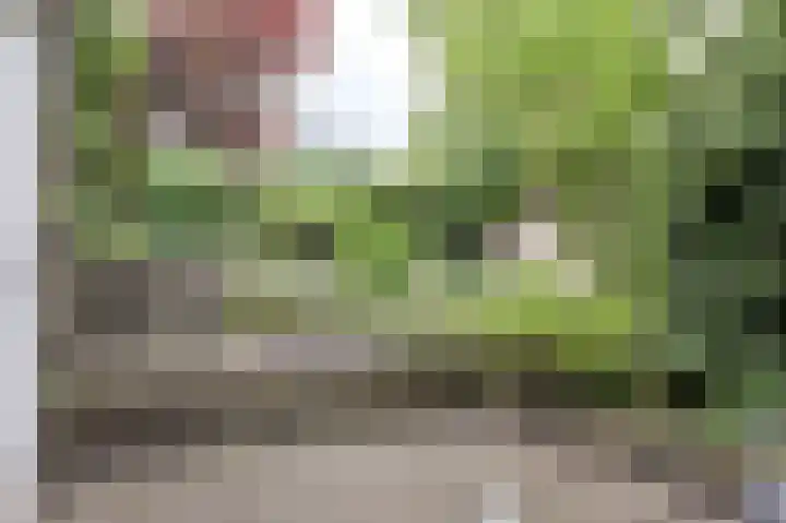 Dorpsstraat 67 Zevenhoven thumbnail 101