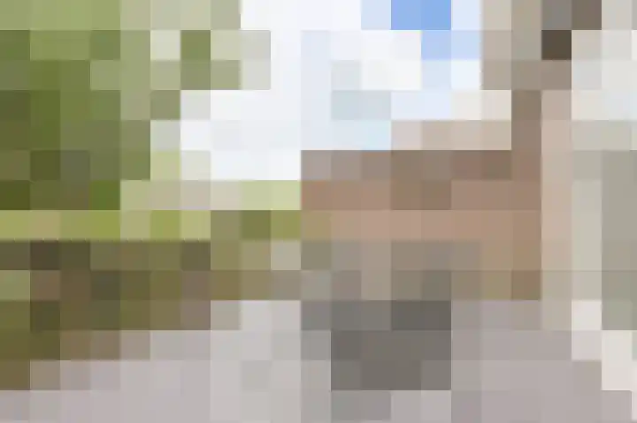 Dorpsstraat 67 Zevenhoven thumbnail 102