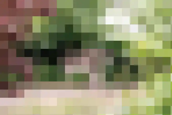 Dorpsstraat 67 Zevenhoven thumbnail 103