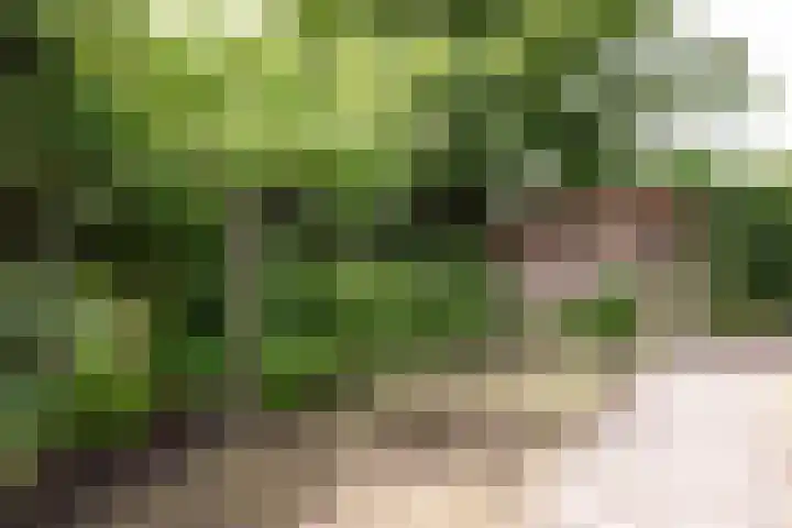 Dorpsstraat 67 Zevenhoven thumbnail 104