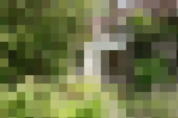 Dorpsstraat 67 Zevenhoven thumbnail 105
