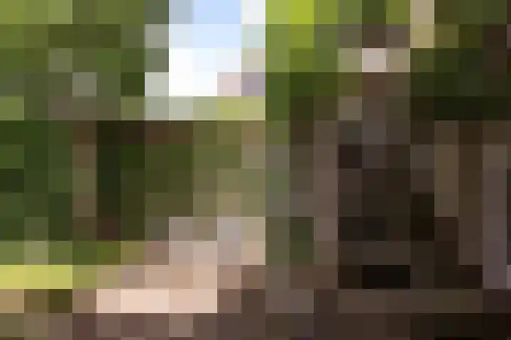 Dorpsstraat 67 Zevenhoven thumbnail 106