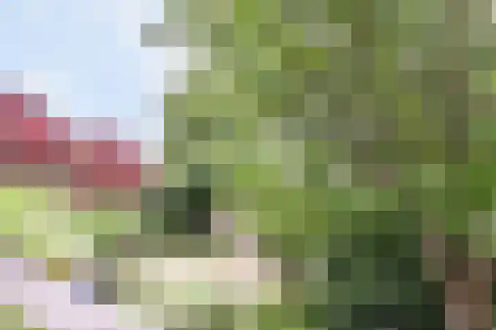 Dorpsstraat 67 Zevenhoven thumbnail 108