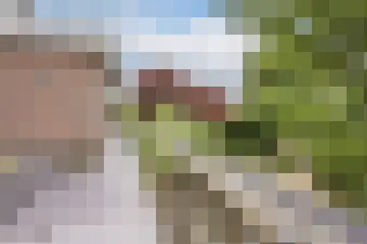 Dorpsstraat 67 Zevenhoven thumbnail 110