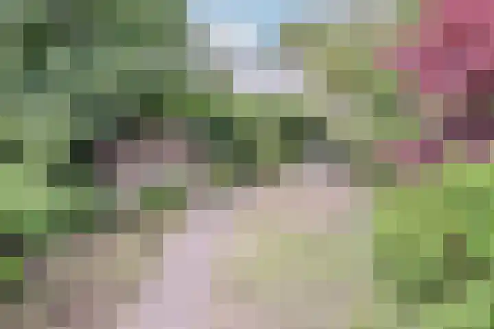 Dorpsstraat 67 Zevenhoven thumbnail 112