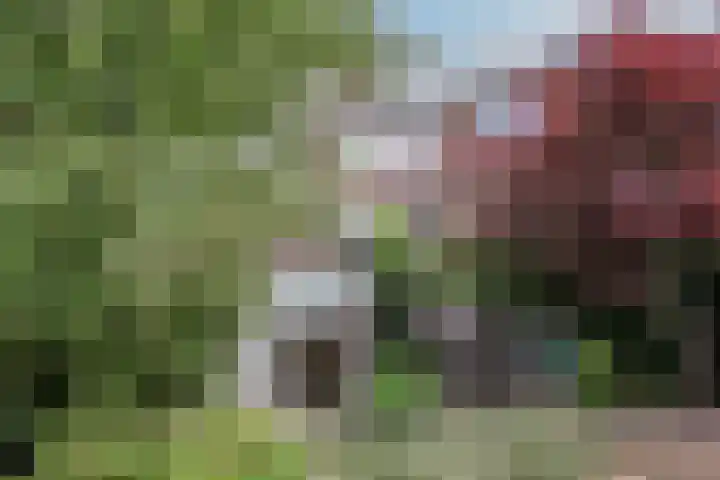 Dorpsstraat 67 Zevenhoven thumbnail 113