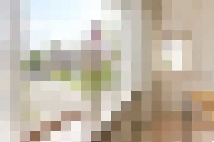 Dorpsstraat 67 Zevenhoven thumbnail 38