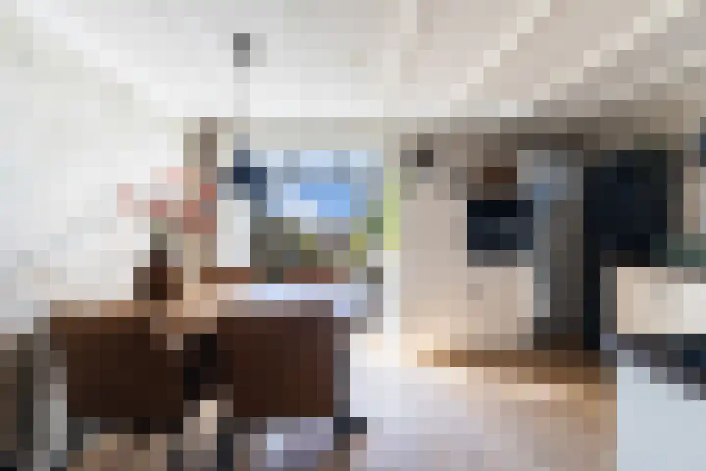 Dorpsstraat 67 Zuid-Beijerland thumbnail 15