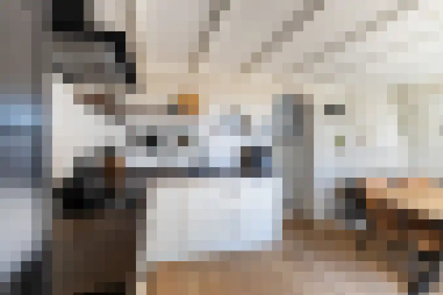 Dorpsstraat 67 Zuid-Beijerland thumbnail 18