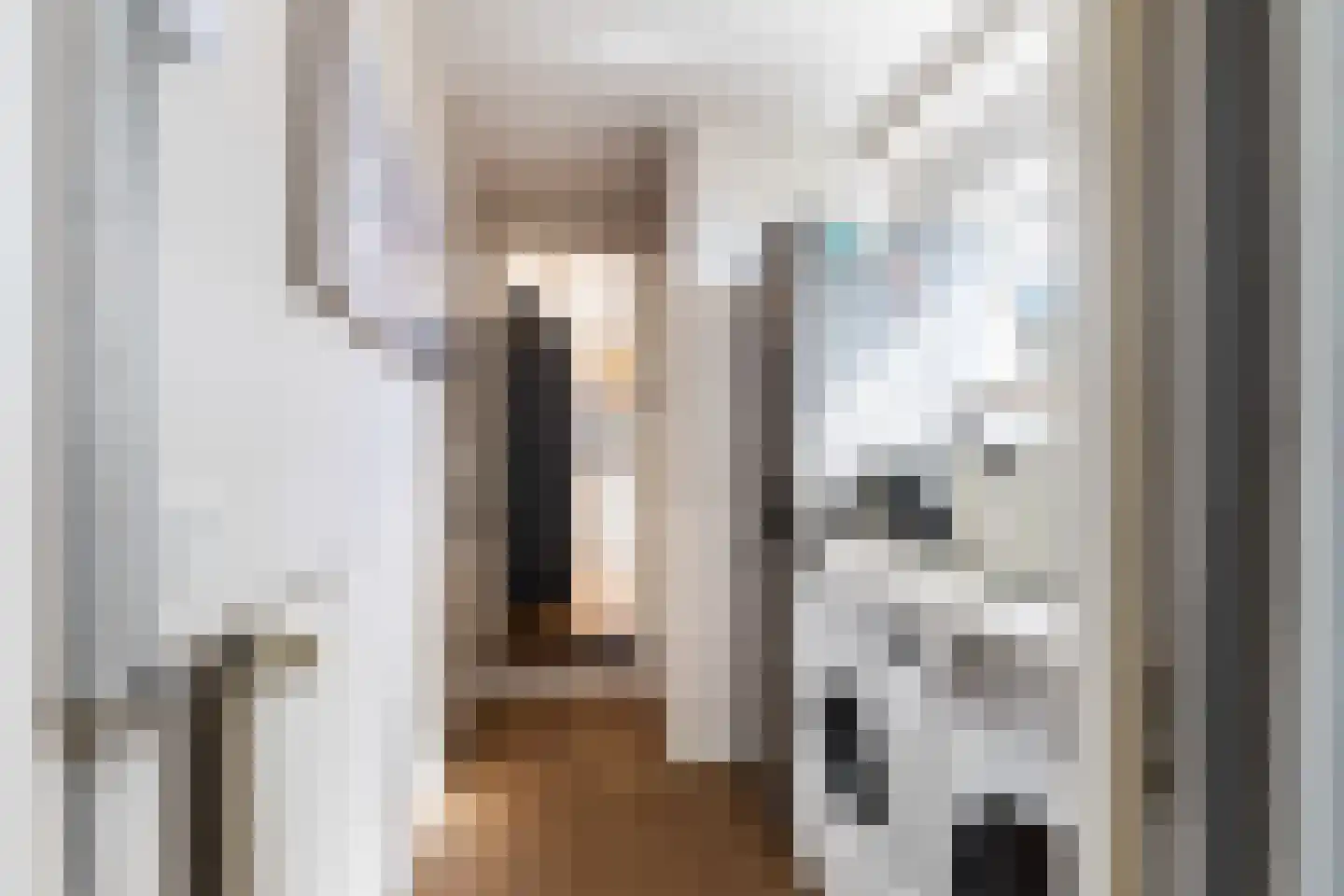 Dorpsstraat 67 Zuid-Beijerland thumbnail 25