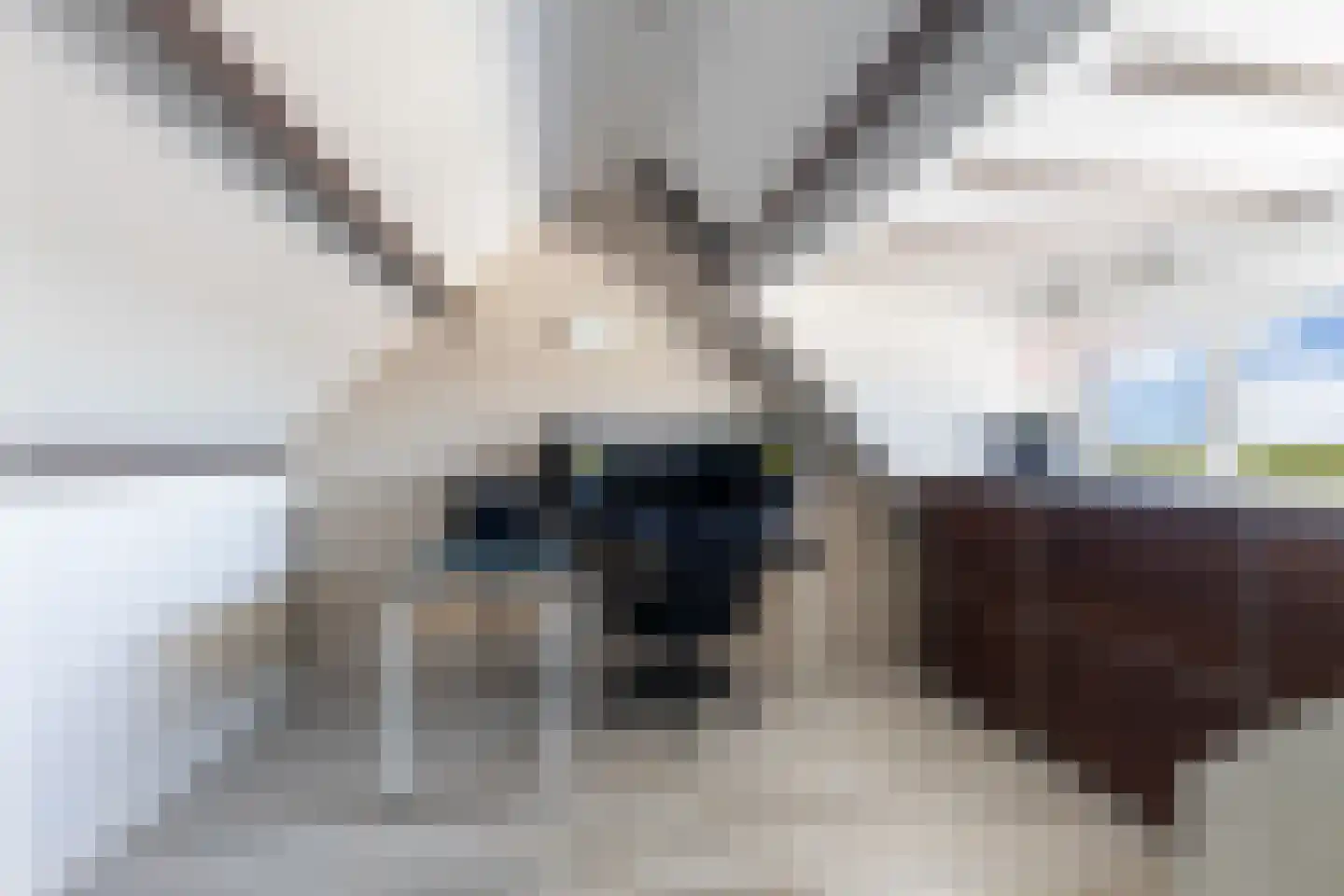 Dorpsstraat 67 Zuid-Beijerland thumbnail 38