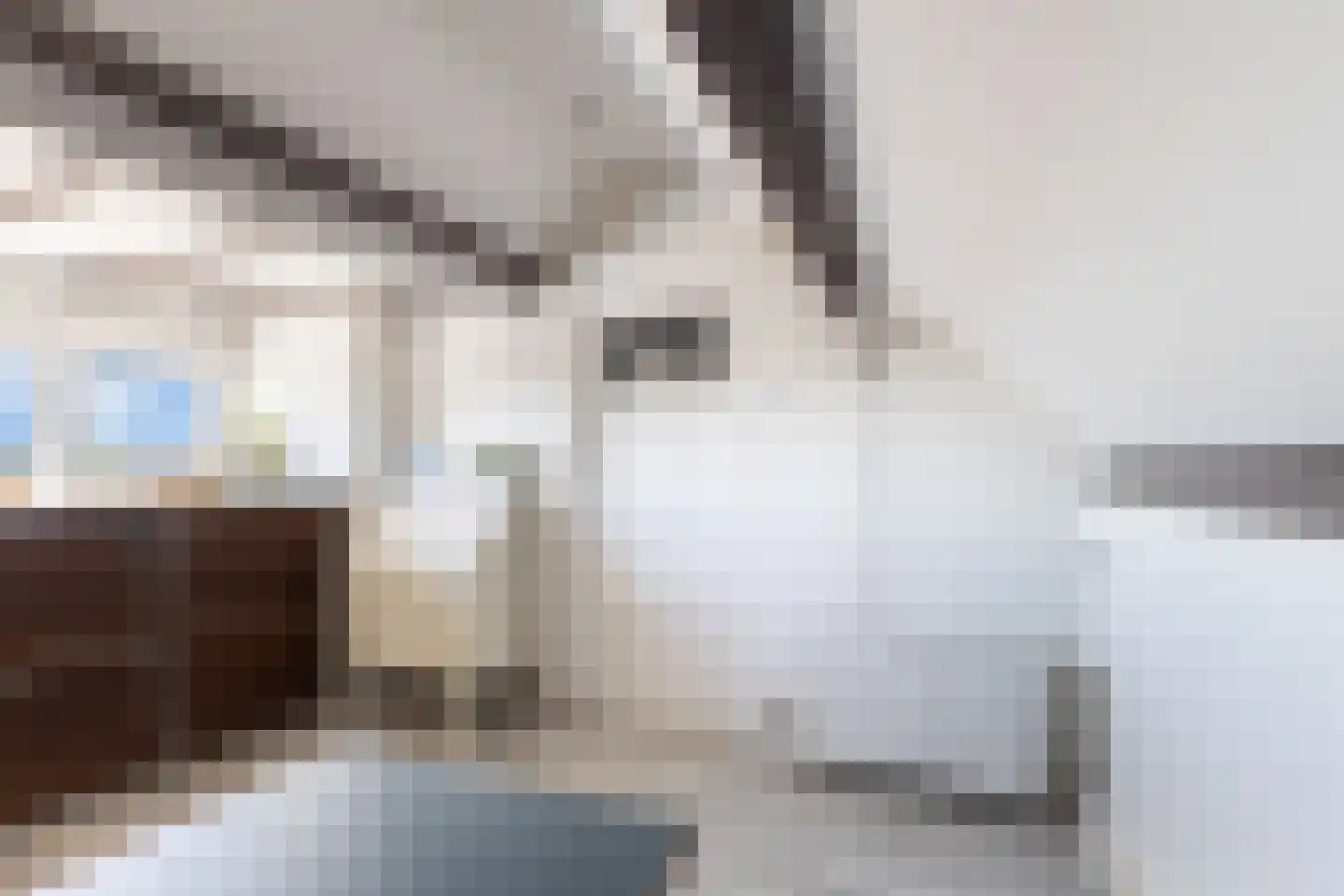 Dorpsstraat 67 Zuid-Beijerland thumbnail 39