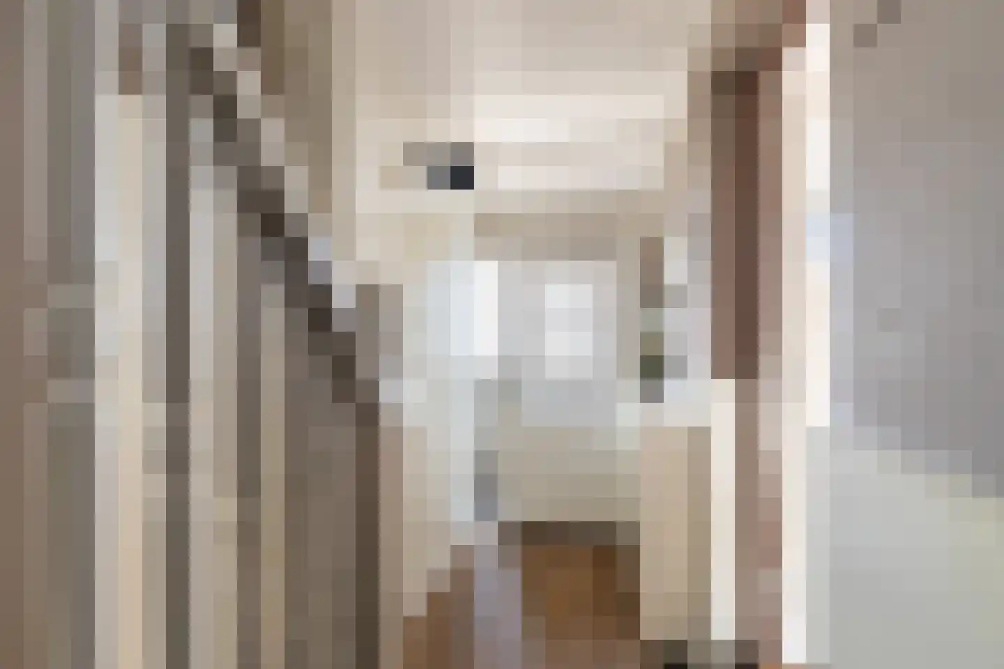 Dorpsstraat 67 Zuid-Beijerland thumbnail 6