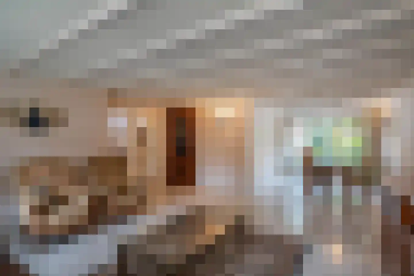 Dorpsstraat 675 Noord-Scharwoude thumbnail 10
