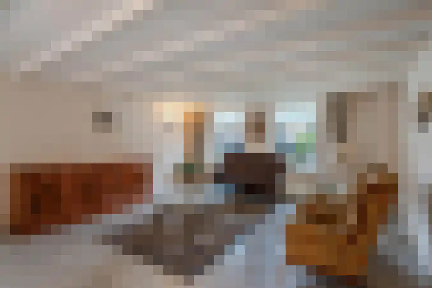 Dorpsstraat 675 Noord-Scharwoude thumbnail 8