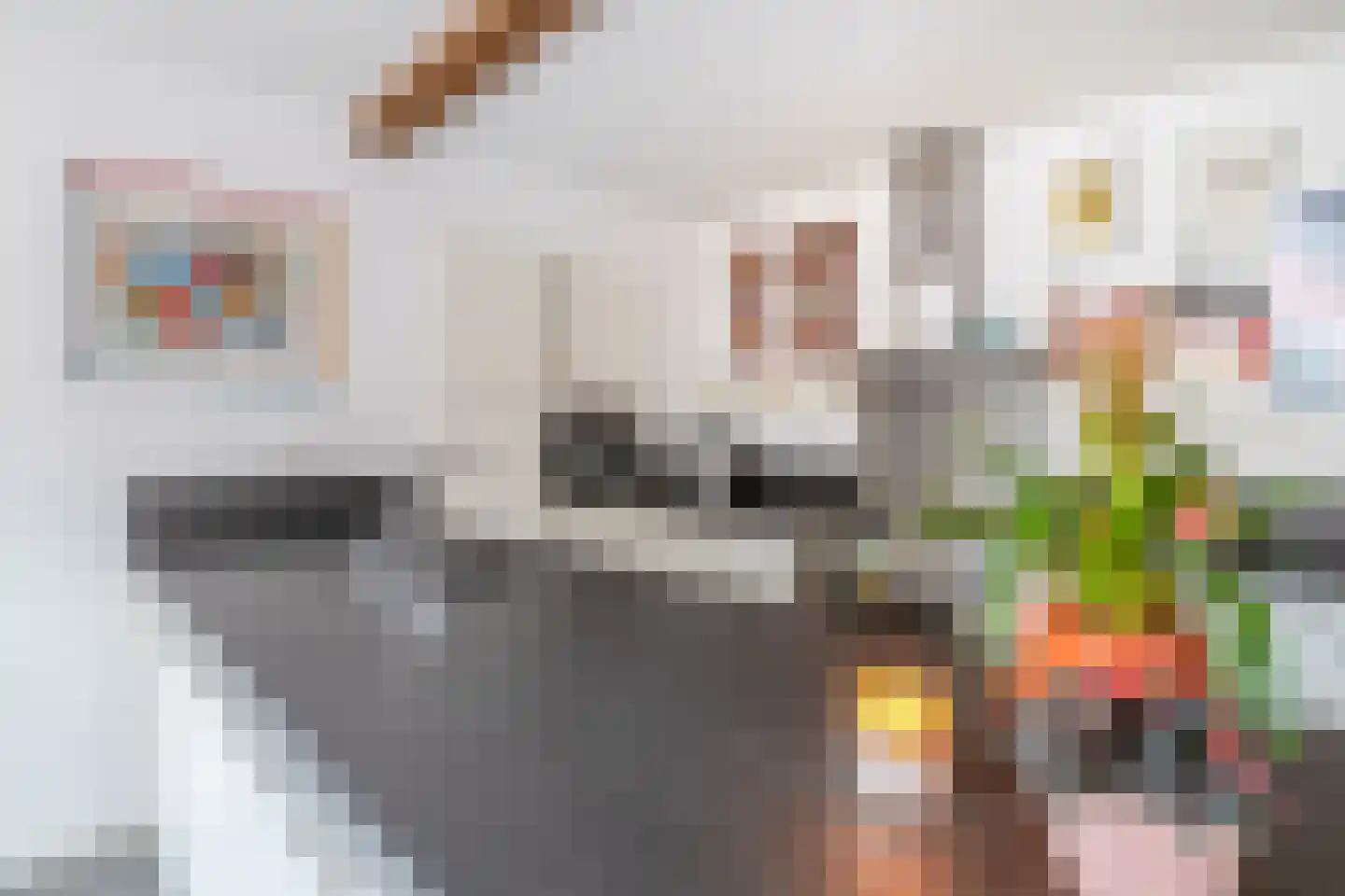 Dorpsstraat 68 Krimpen aan de Lek thumbnail 10