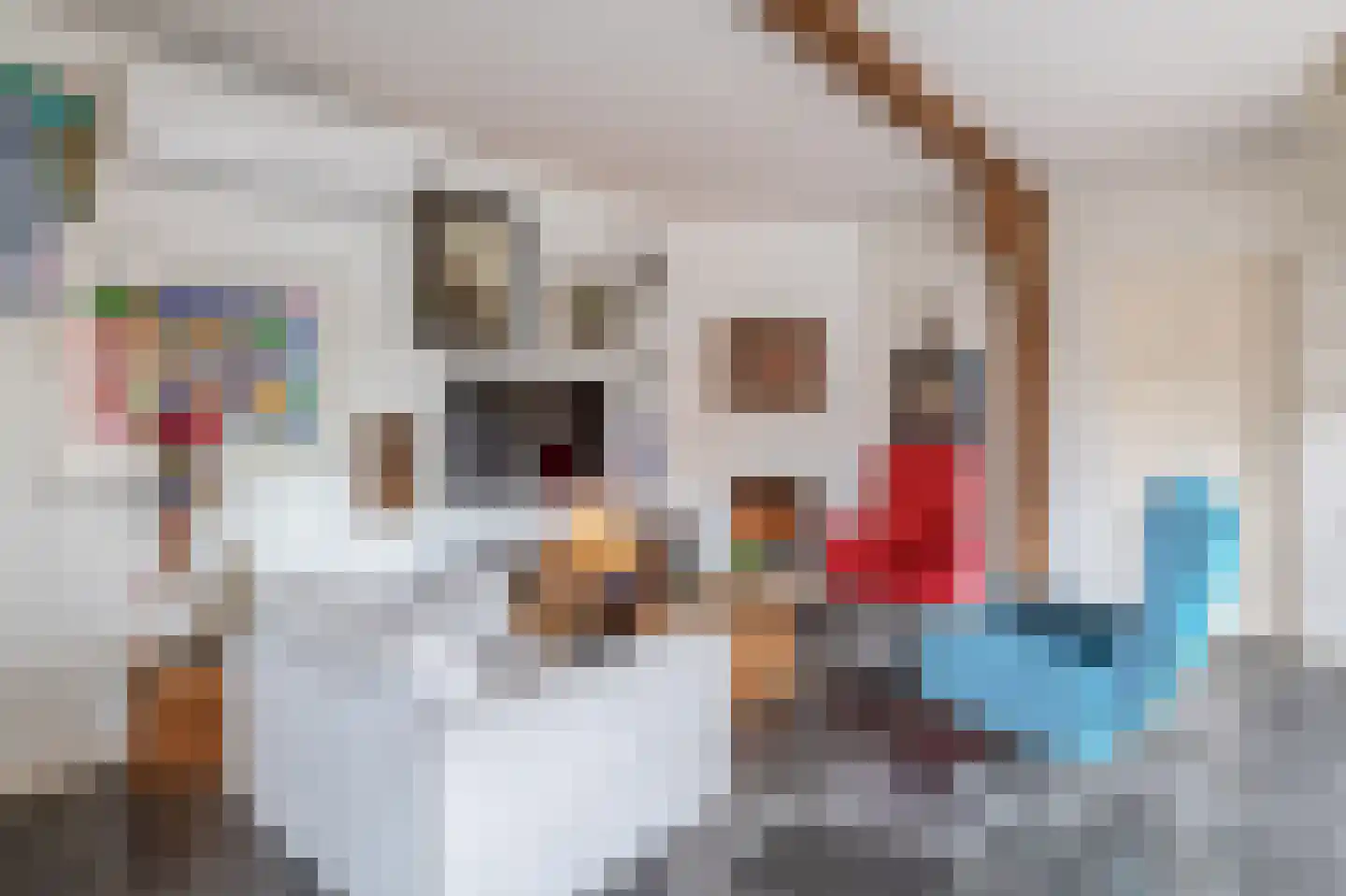Dorpsstraat 68 Krimpen aan de Lek thumbnail 14