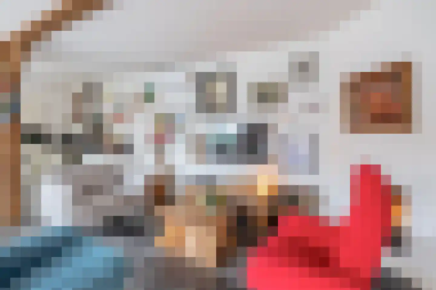 Dorpsstraat 68 Krimpen aan de Lek thumbnail 15