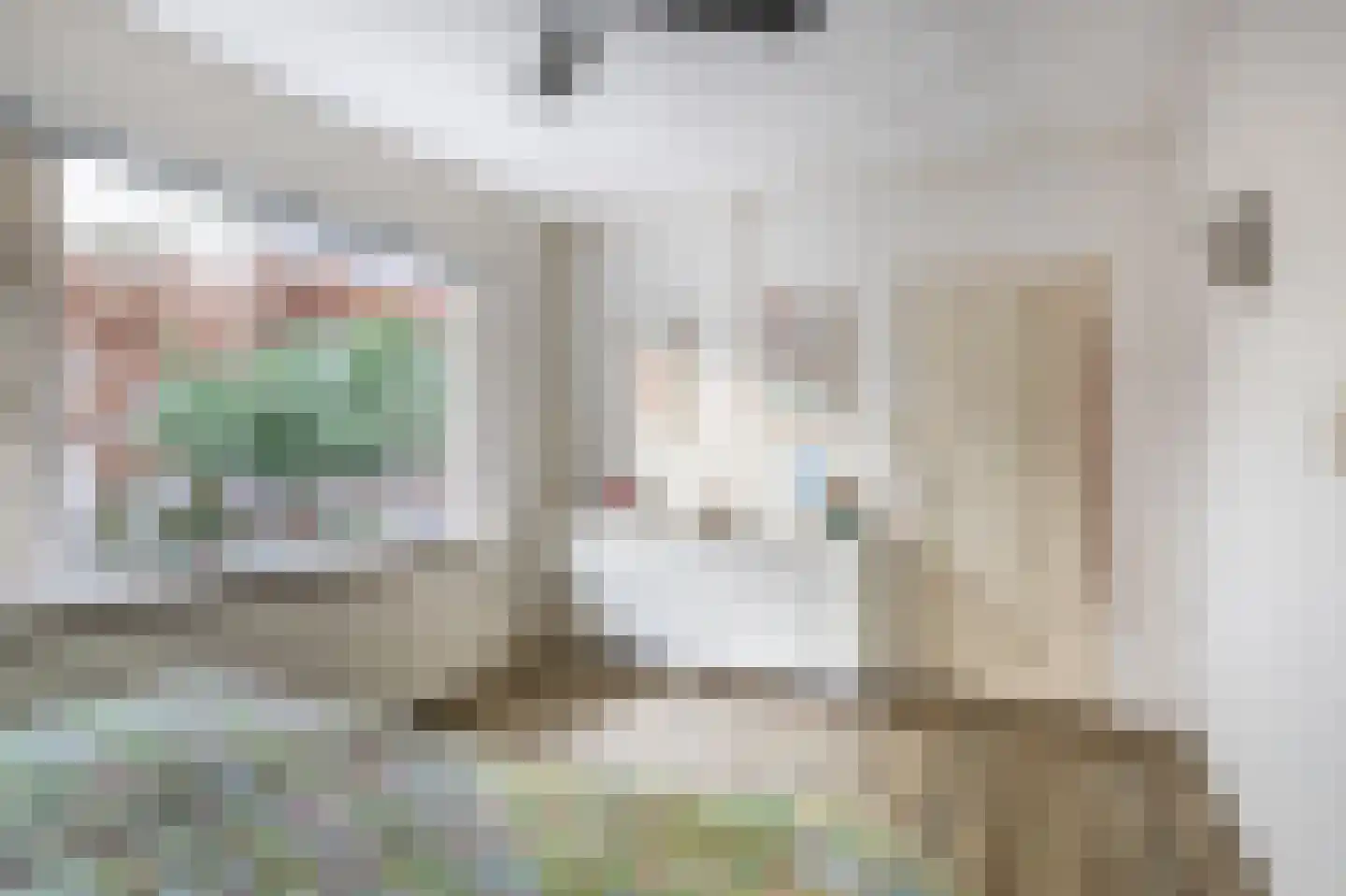 Dorpsstraat 68 Krimpen aan de Lek thumbnail 19