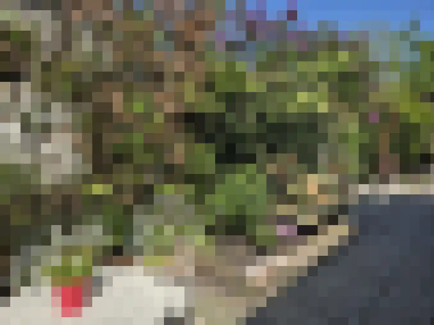 Dorpsstraat 68 Krimpen aan de Lek thumbnail 41