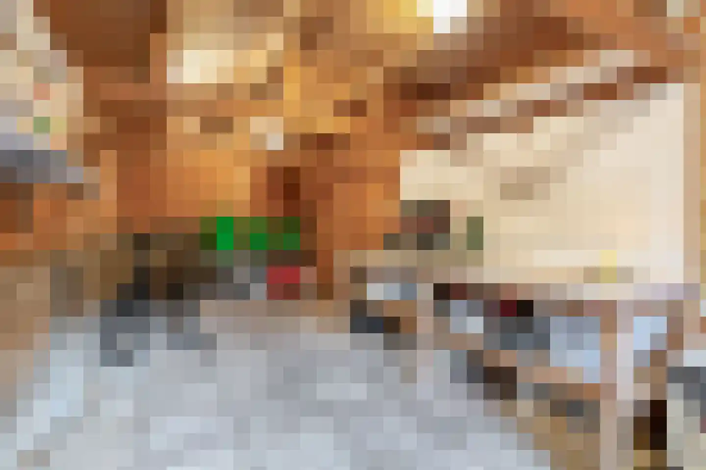 Dorpsstraat 68 Krimpen aan de Lek thumbnail 42