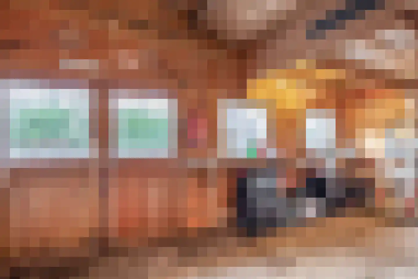 Dorpsstraat 68 Krimpen aan de Lek thumbnail 43
