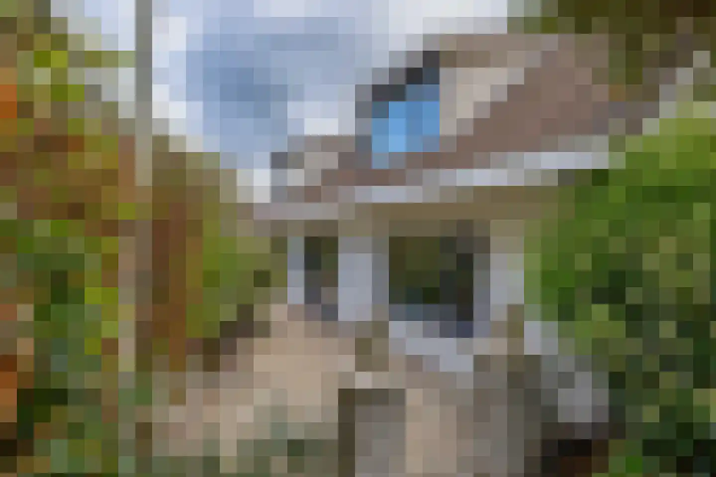 Dorpsstraat 68 Krimpen aan de Lek thumbnail 5